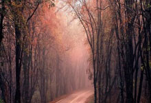 2026元旦三天免费吗？最新政策权威解读